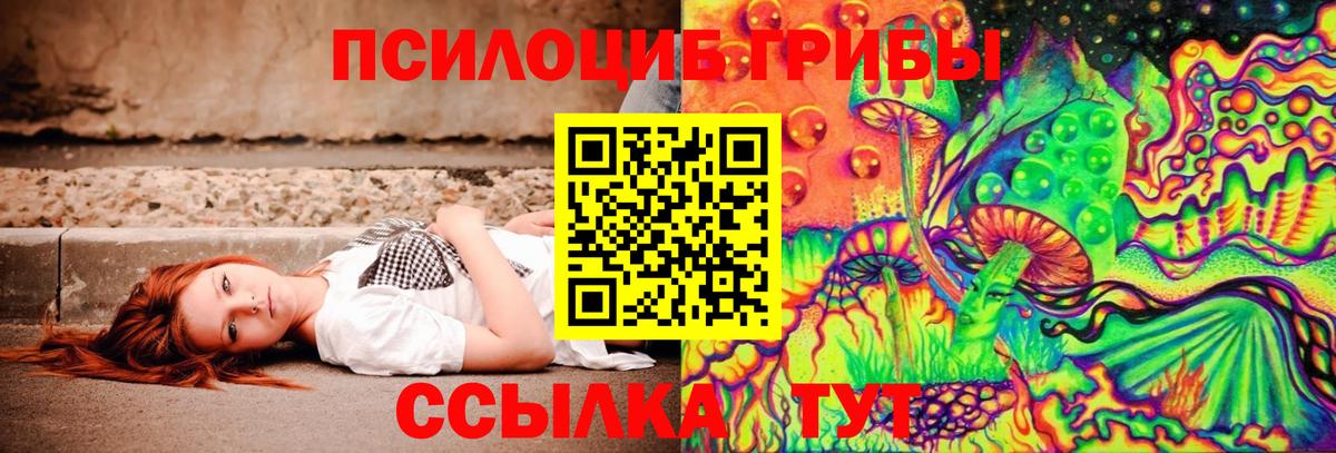 Галлюциногенные грибы GOLDEN TEACHER  Псилоцибиновые грибы Cubensis  Заводоуковск  Вход с VPN 