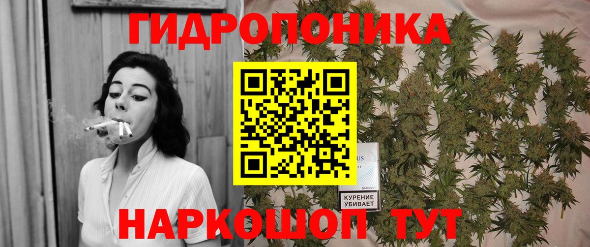 Каннабис семена Заводоуковск